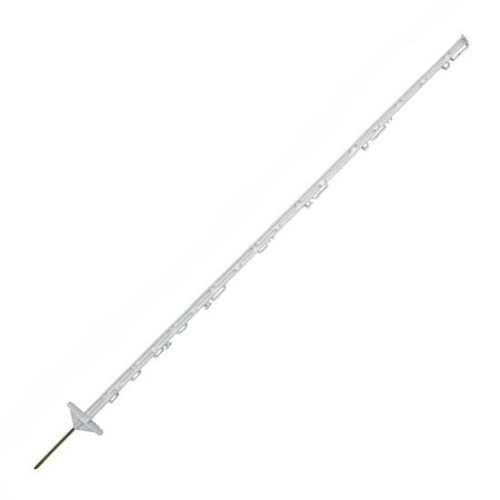 l-1330.jpg